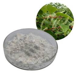 Polygonum Cuspidatum Extracts