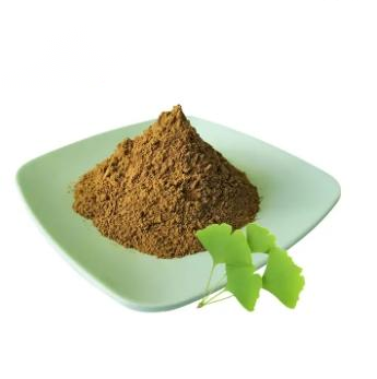 Ginkgo Biloba Extract