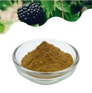 Acanthopanax Senticosus Extract