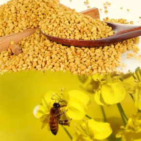 Bee Pollen