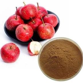 Hawthorn Berry Extract