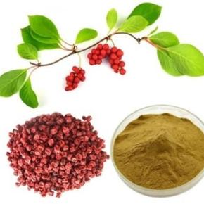 Schisandra extract