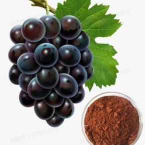 Grape seed extract