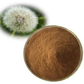 Dandelion extract