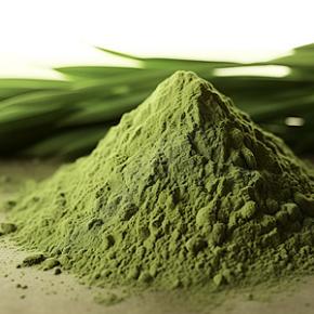 Seaweed Powder