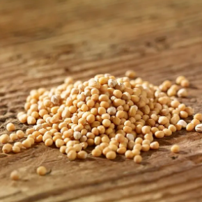 Yellow mustard seed extract