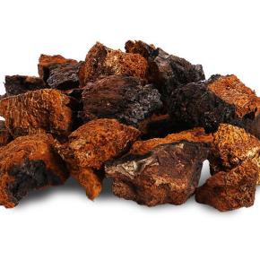 Chaga Extract